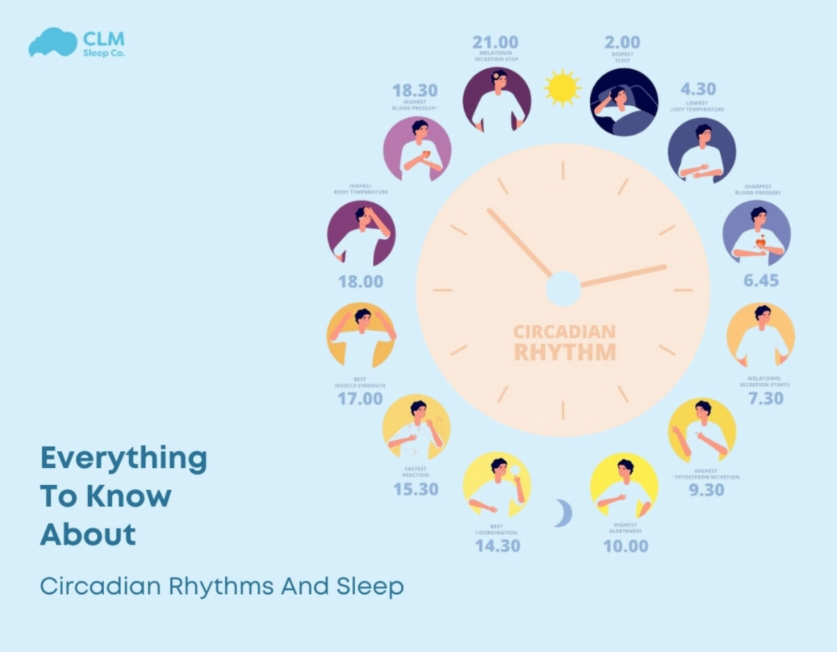 explore the role of circadian rhythms in sleep science, understanding how our internal biological clock influences sleep patterns, health, and well-being.