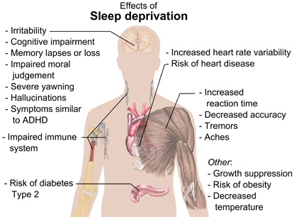 explore how advancements in sleep science improve health by uncovering the vital role of sleep in physical and mental well-being.